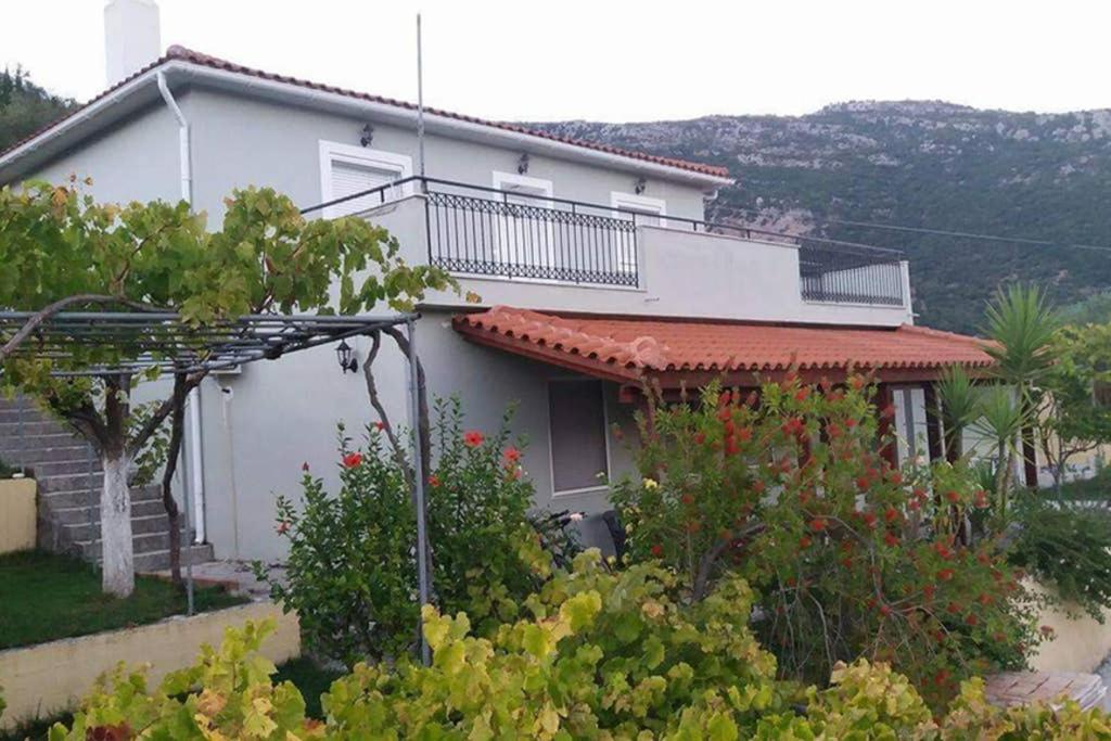 Apartment With Private Pool For Rent In Tzanata Kefalonia Dhimisianáta Esterno foto