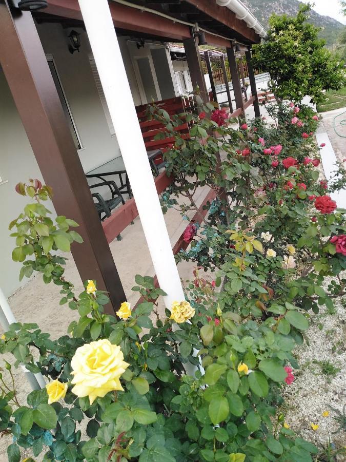 Apartment With Private Pool For Rent In Tzanata Kefalonia Dhimisianáta Esterno foto